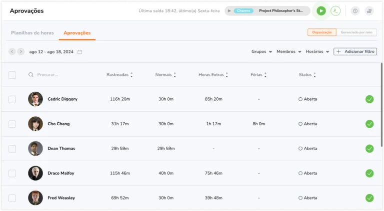 Approval pay period timesheet overview