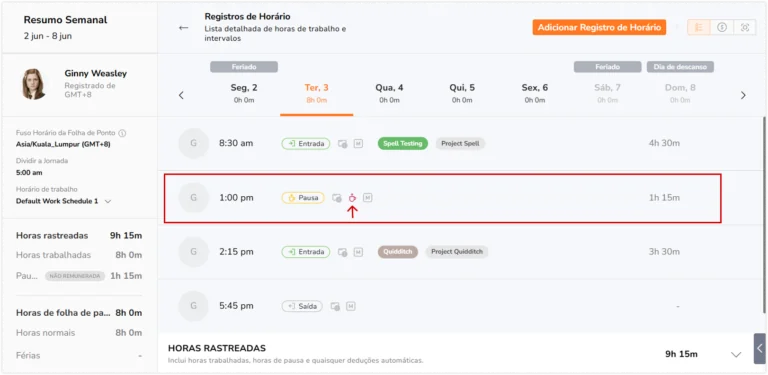 Ícone de violação de pausa exibido nas folhas de ponto no aplicativo web