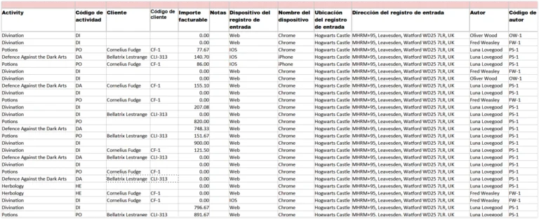 Time entries list (raw)