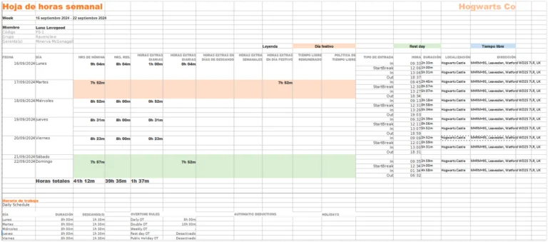 Timesheets per members in individual tabs (detailed) 