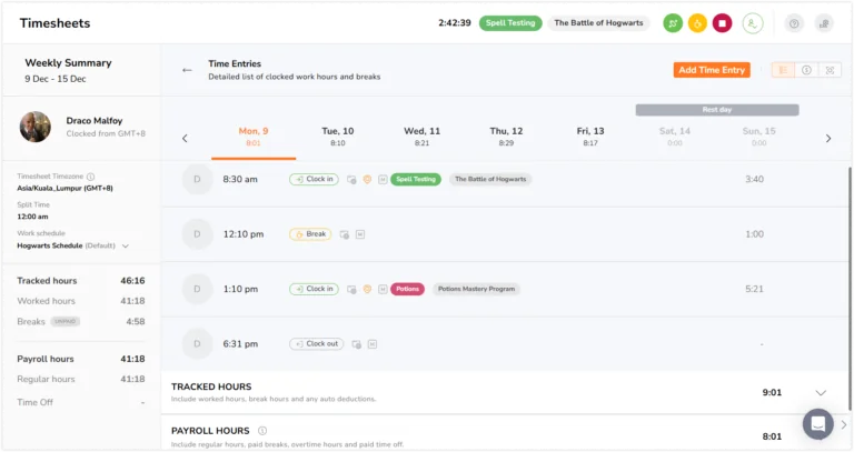 Projects in time entries