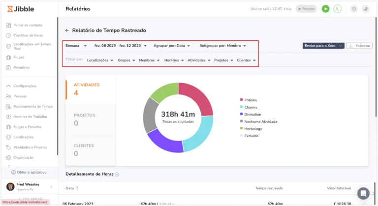 Filtros do Relatório de Horas Registradas