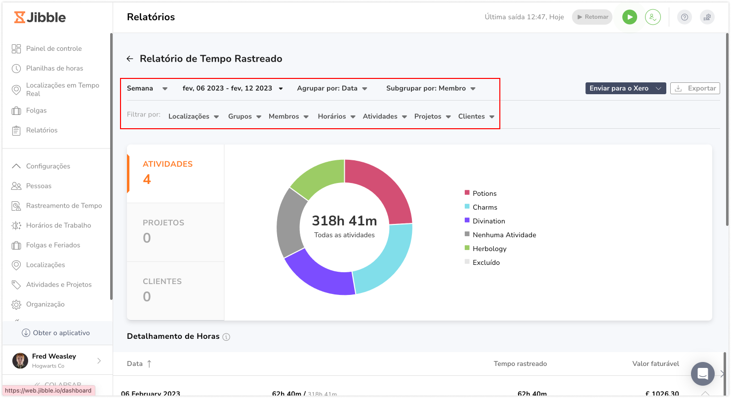 Filtros do Relatório de Horas Registradas