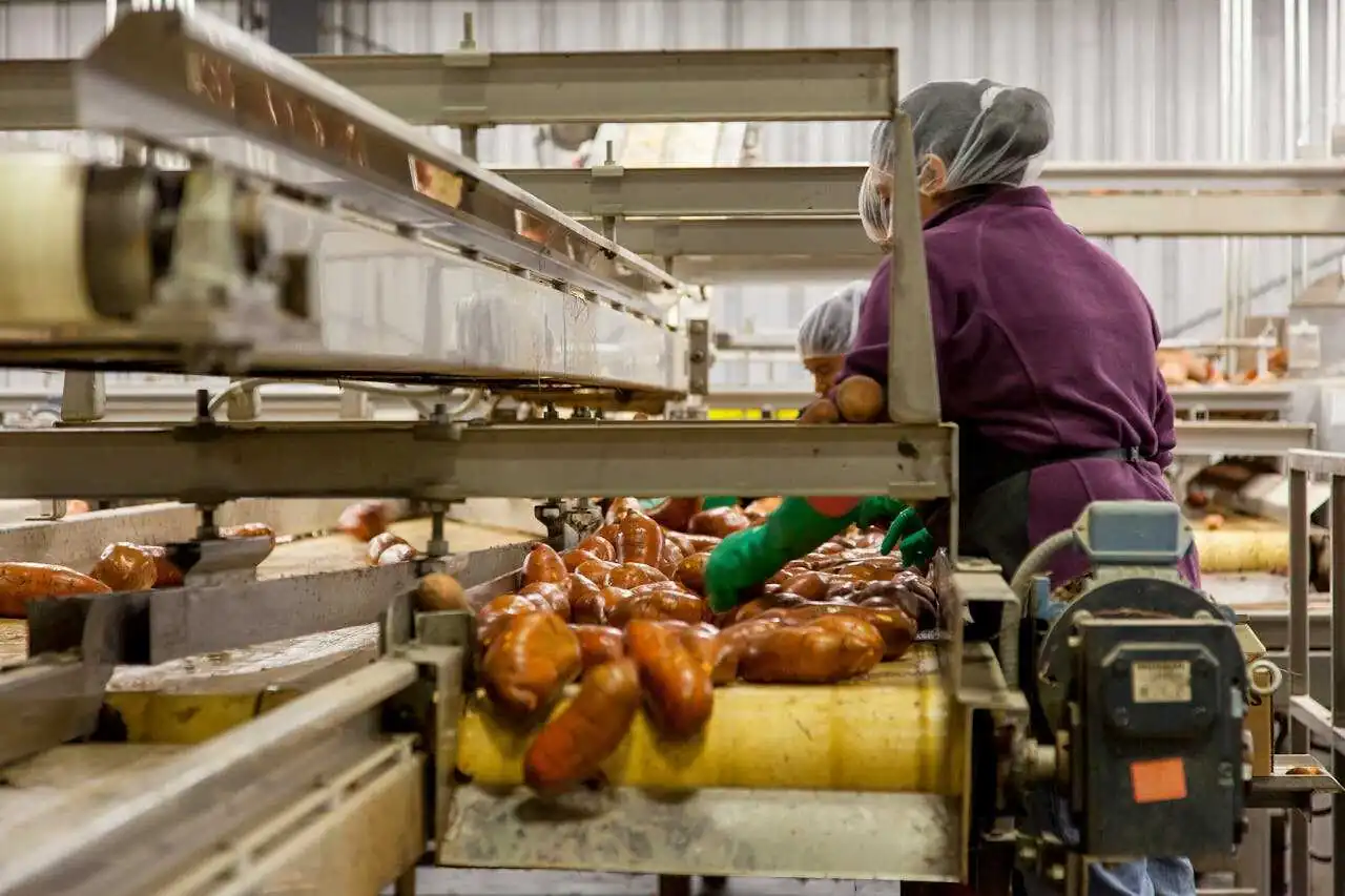 Woman peeling potatoes in a factory.