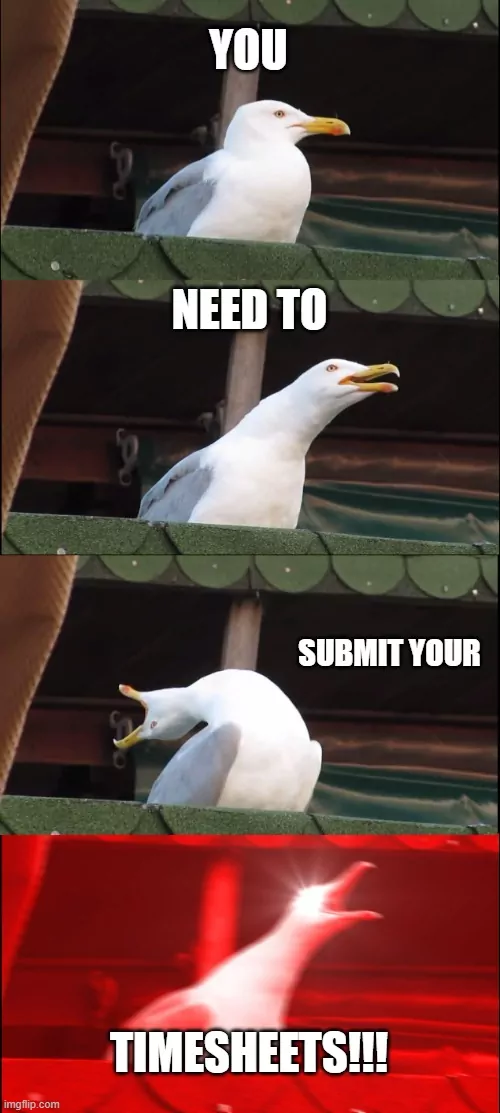 Screaming bird saying "You need to submit your timesheets!!!"
