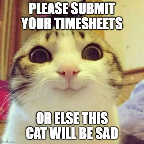 A cute cat reminder for submitting timesheets.