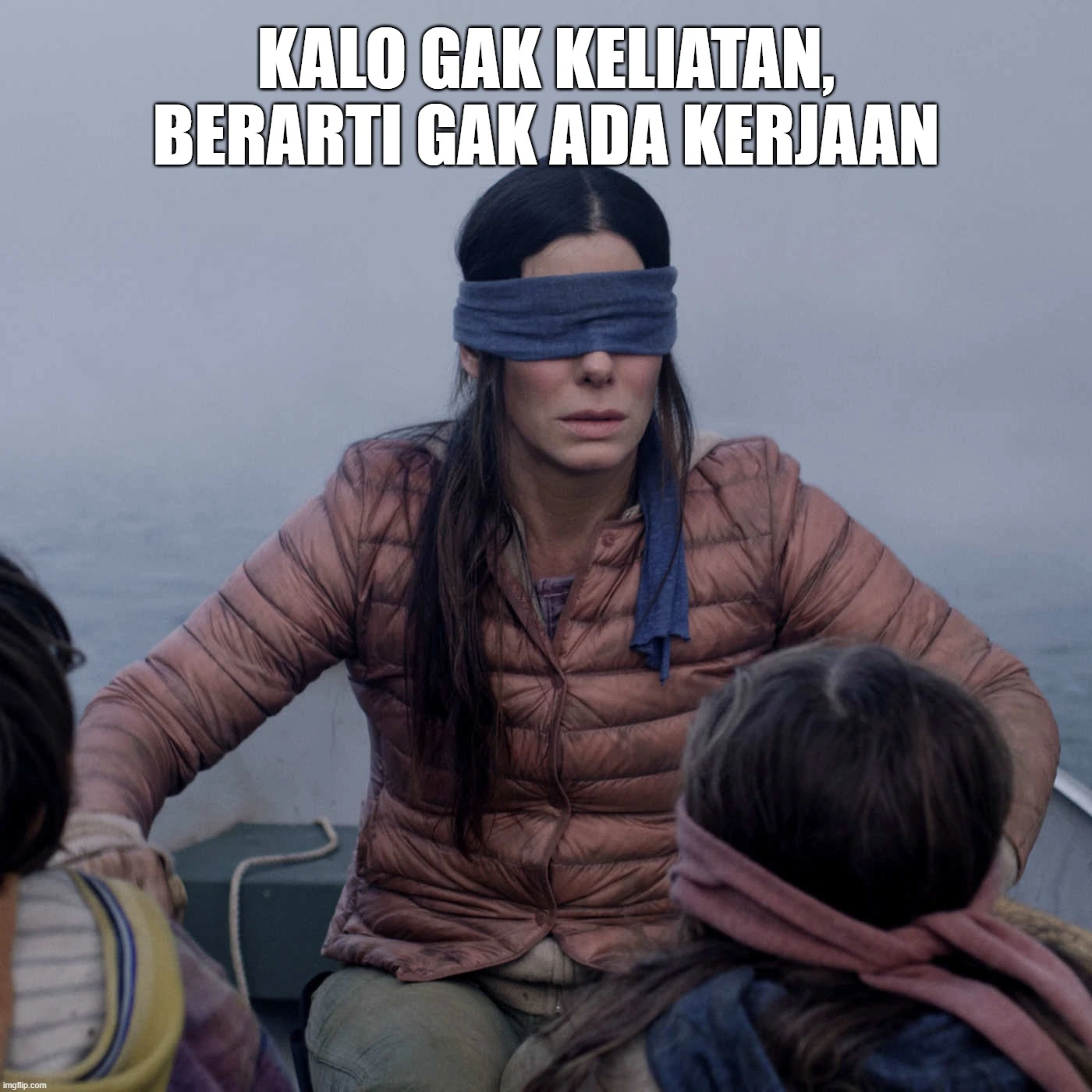 meme bird box