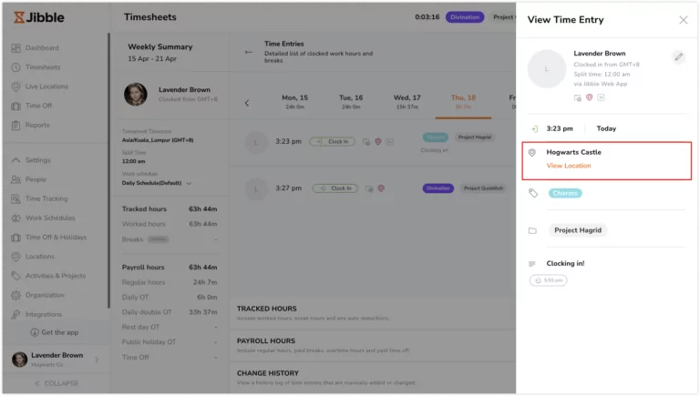 在网页上查看工时记录中的位置信息