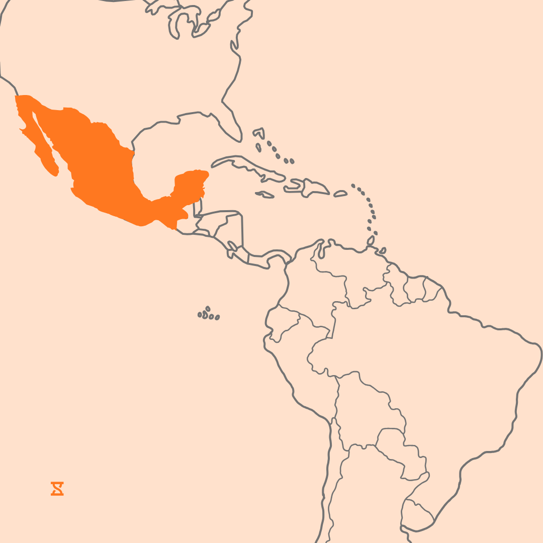 Mapa que acompaña al artículo sobre la legislación laboral en México