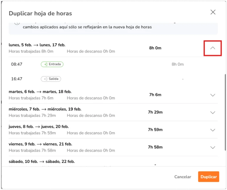 Dropdown button to view individual time entry