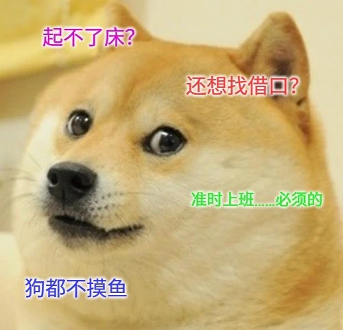 一个可爱的狗狗表情包,图片上写满了文字。